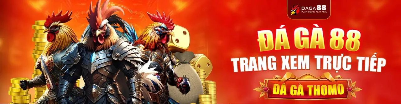 Đá gà trực tuyến playiwin login